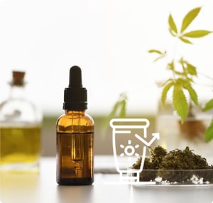 Cannabis-Sativa-Seed-Oil