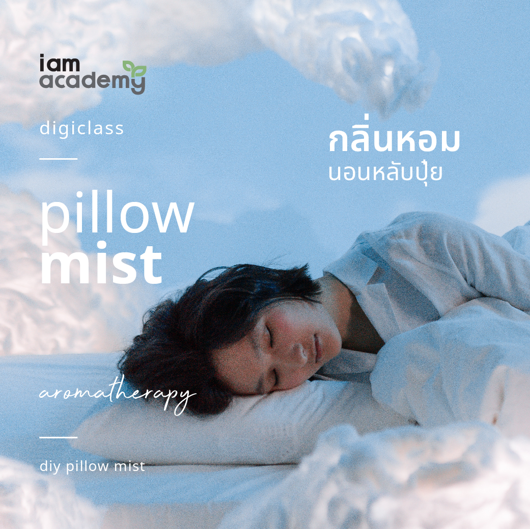 1200x600px-workshop pillow mist-01